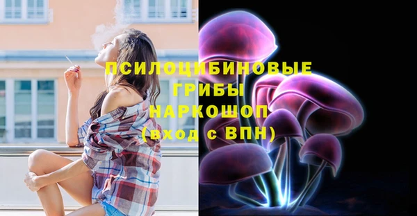 мдпв Арсеньев