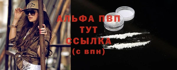 сатива Ладушкин
